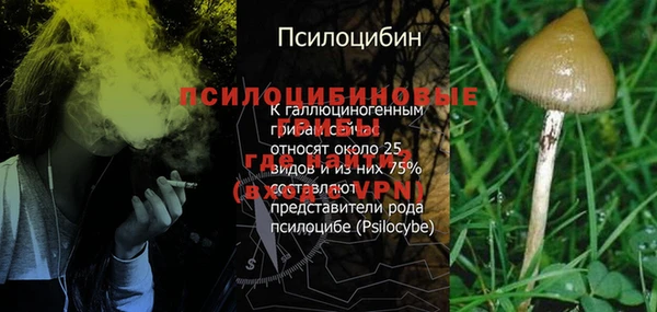 jwh Алзамай