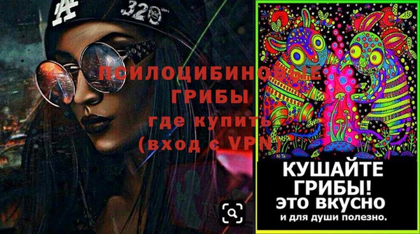 молекула духа Алексин
