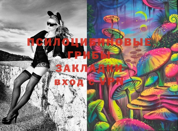 кокс Алексеевка