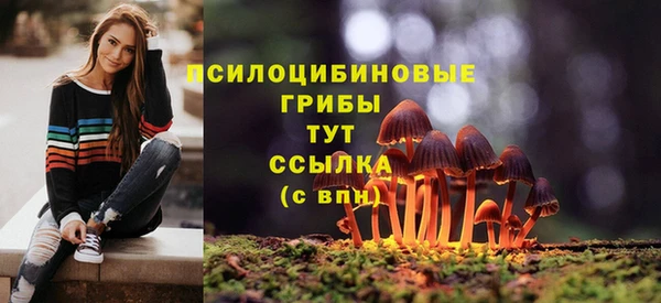 ГАЛЛЮЦИНОГЕННЫЕ ГРИБЫ Липки